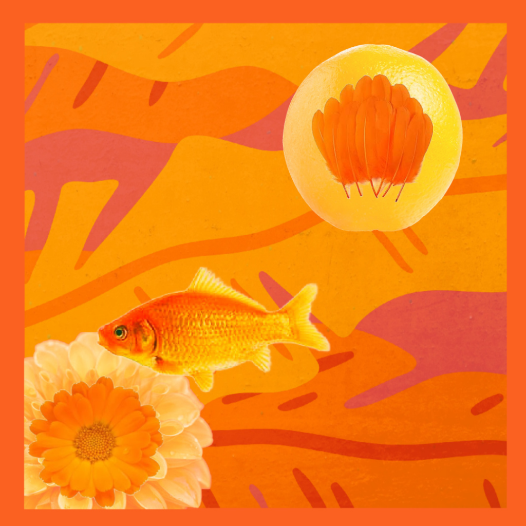 A multimedia piece featuring a goldfish, an orange daisy, and feathers in an orange bubble existing on an orange painted background.