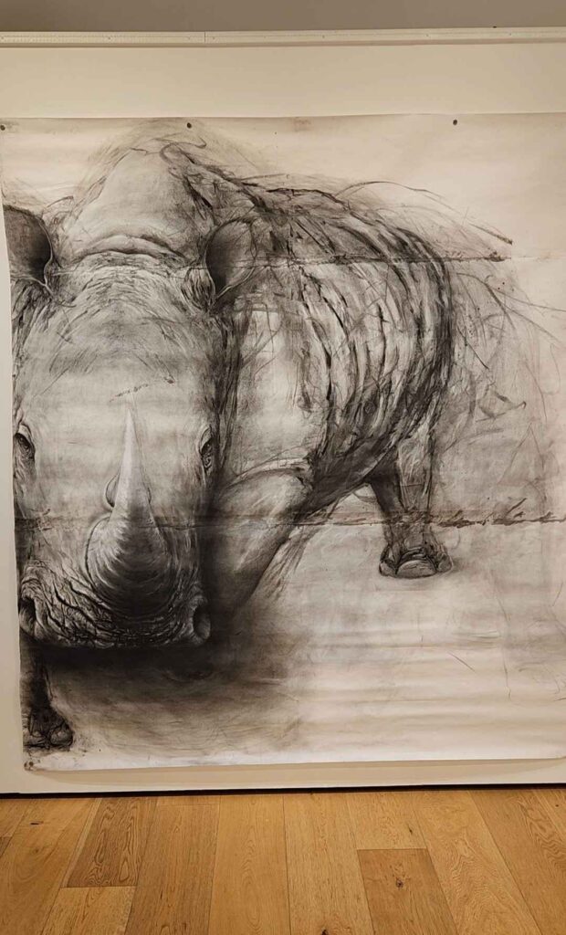 A charcoal rhinoceros steps towards the viewer