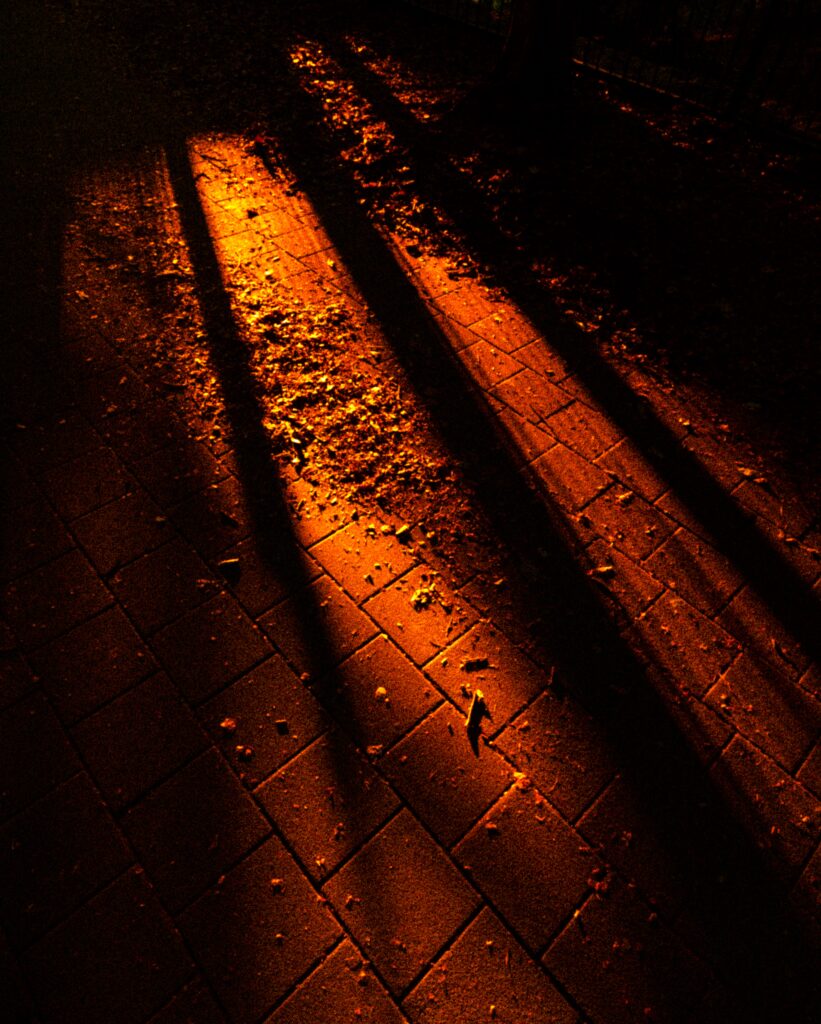 Bright orange light streaks across broken cobbles stones, the only colour or light among dark black shadows.