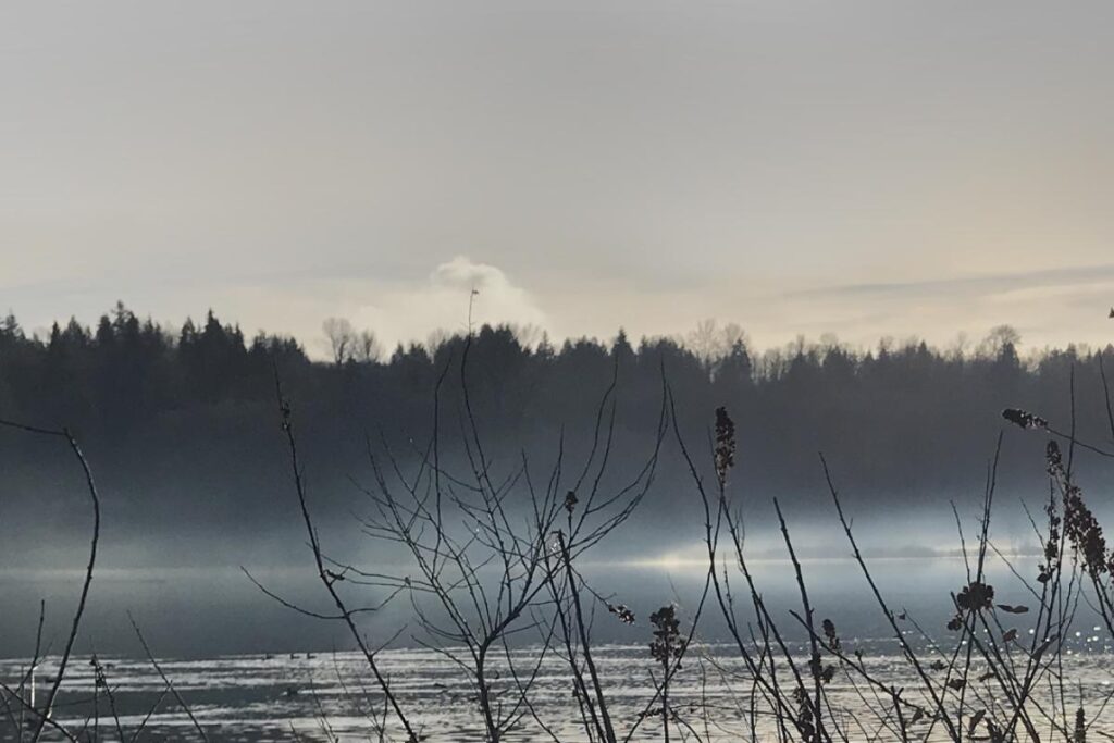 A photograph of a misty morning looking out over Deer Lake